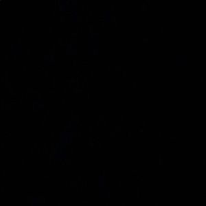 Meet your Posher, Dakota